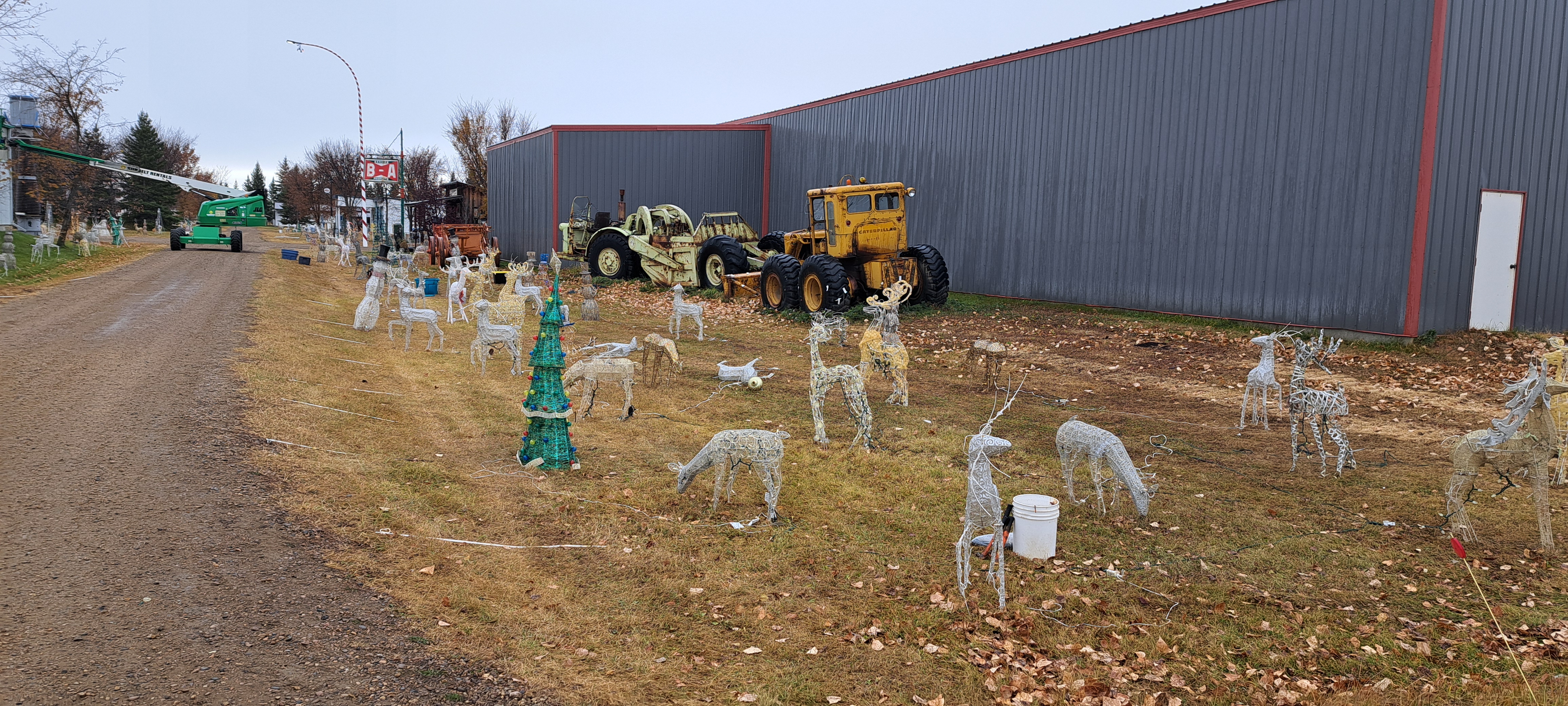 The animals are in place, waiting to get lit up