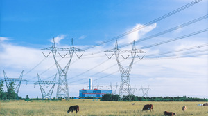 Two separate single circuit steel transmission towers are shown crossing a country pasture with the Genesee Power Plant in the back ground.